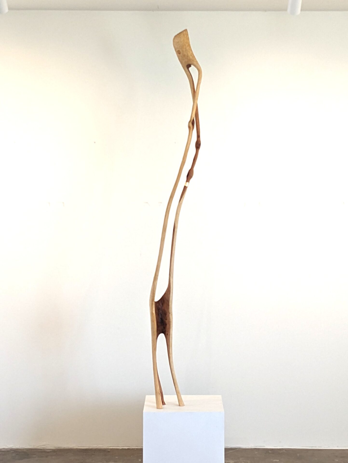 Semophant No 17 – “Square”